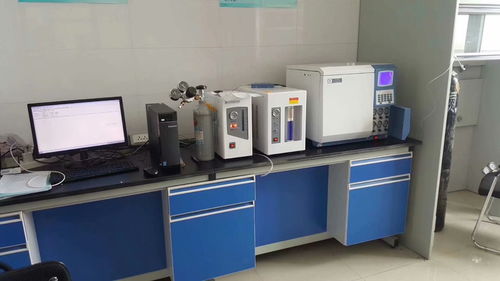 黄石GDC 9560C电力系统专用油色谱分析仪厂家直销